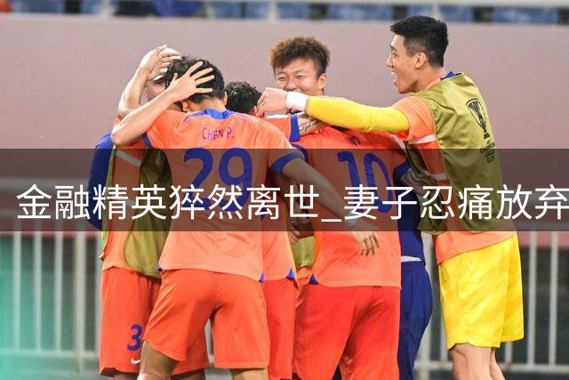 金融精英猝然离世 妻子忍痛放弃双胞胎引深思